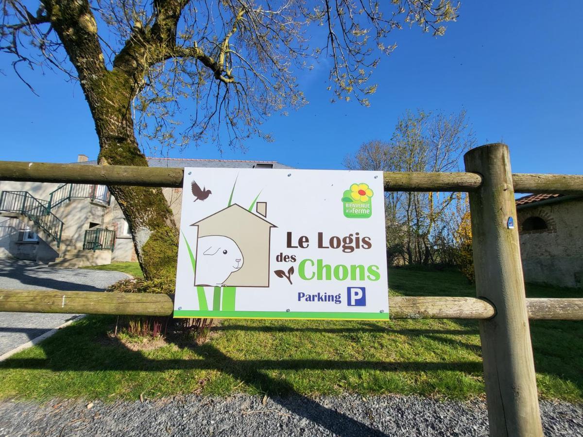Le Logis des Chons à la campagne à Saint hilaire du Bois - Lys Haut Layon Le Plessis  Extérieur photo
